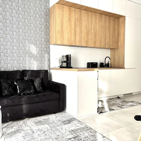 Easy Rent- Business Center 194 Free Parking 24h Check-in * Lublin